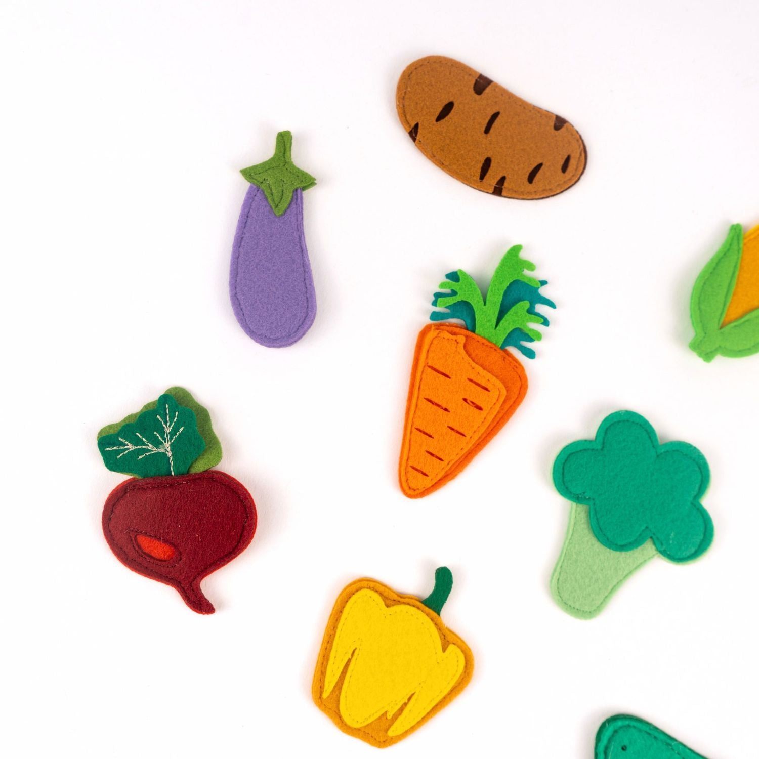 Légumes du jardin colorés