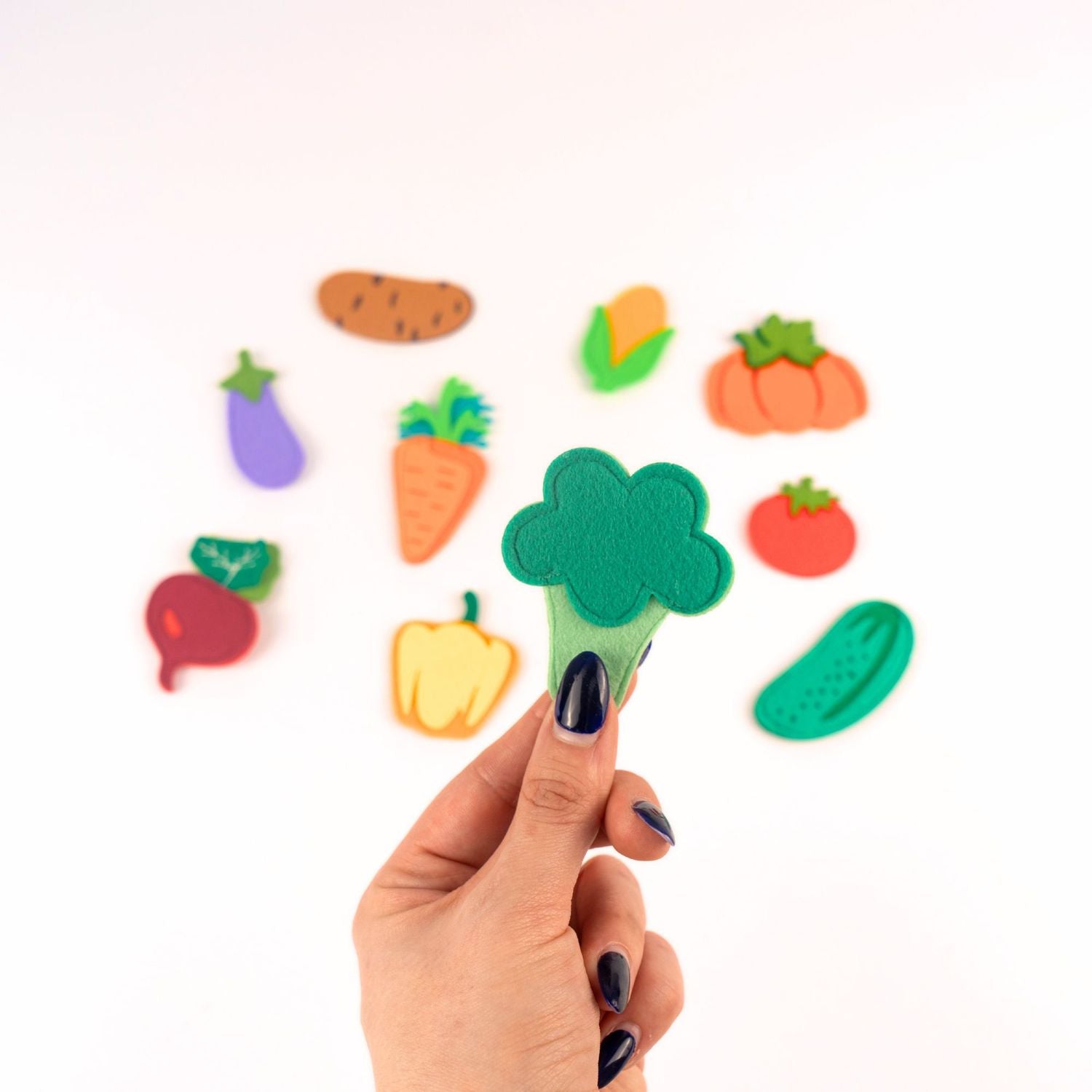 Légumes du jardin colorés