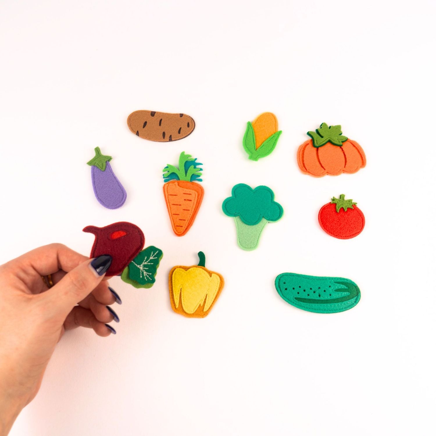 Légumes du jardin colorés