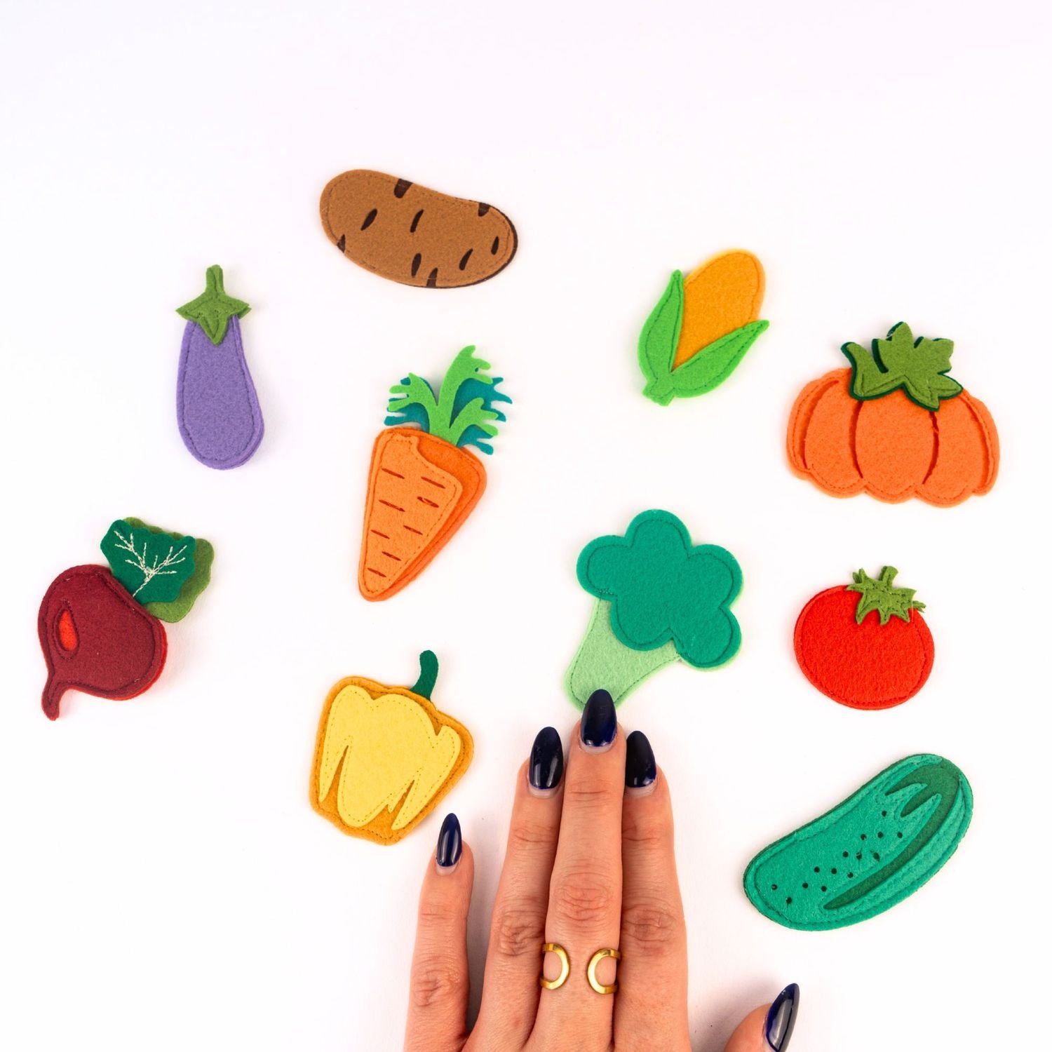 Légumes du jardin colorés