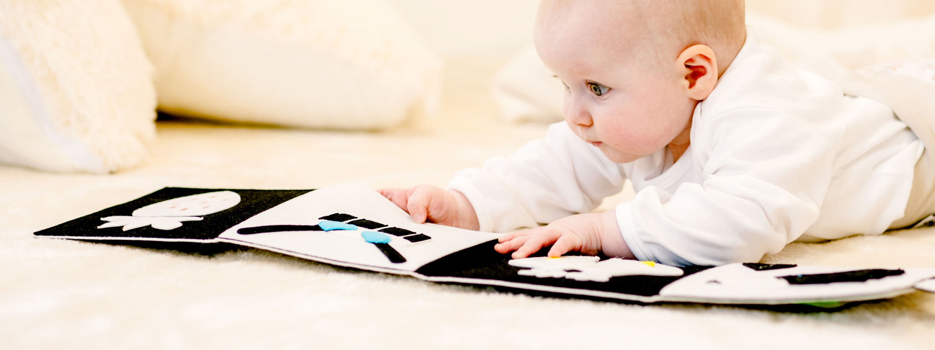 Contrastes noir et blanc 