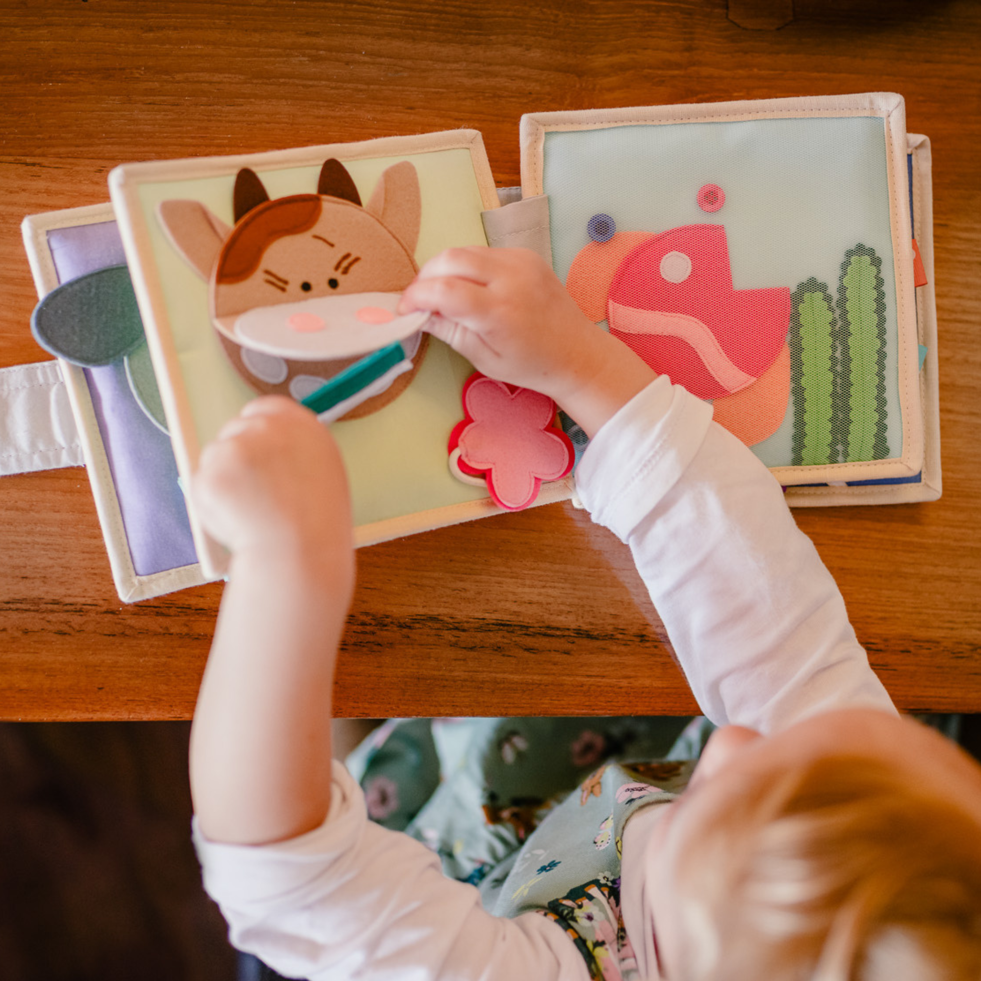 Magical bird meets sunshine